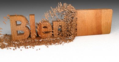 Blender Wood Chipping Text