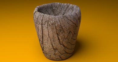 Blender Cup with Wood Texture